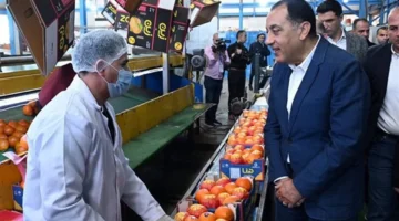 رئيس الحكومة يوجه بدعم توطين الصناعات في مصر عقب جولته الميدانية بالمصانع